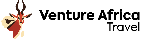 Venture Africa